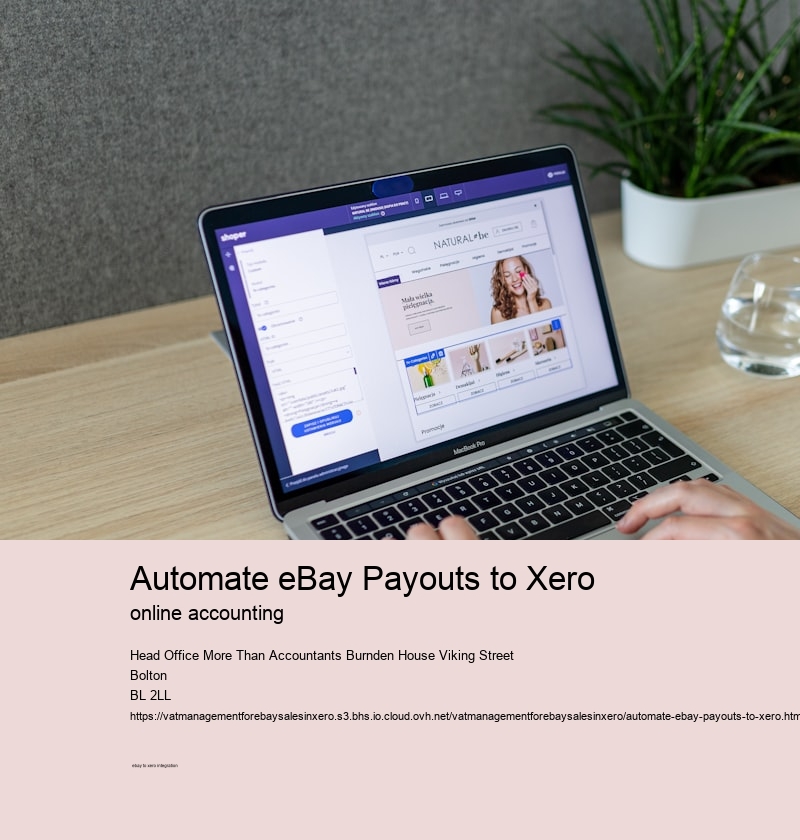 Automate eBay Payouts to Xero