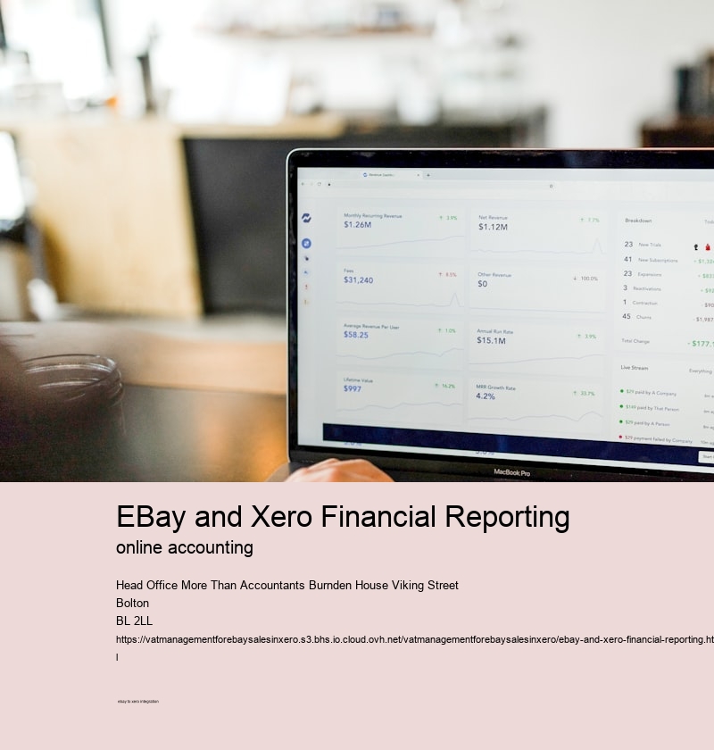 eBay and Xero Financial Reporting