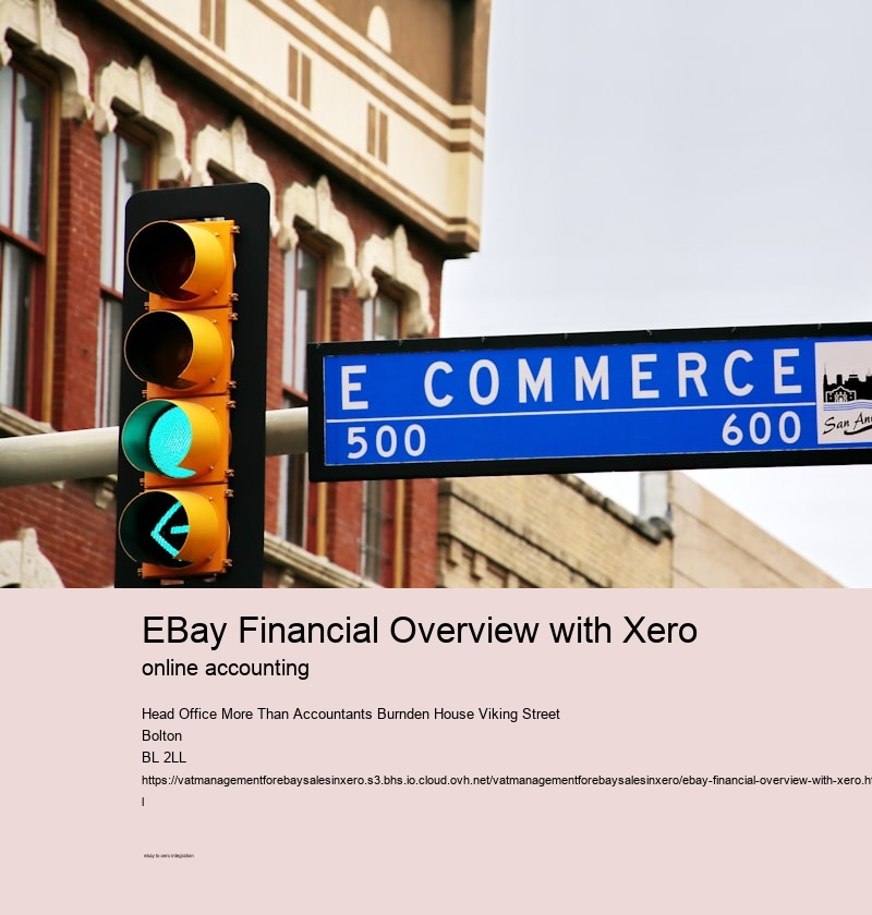 eBay Financial Overview with Xero