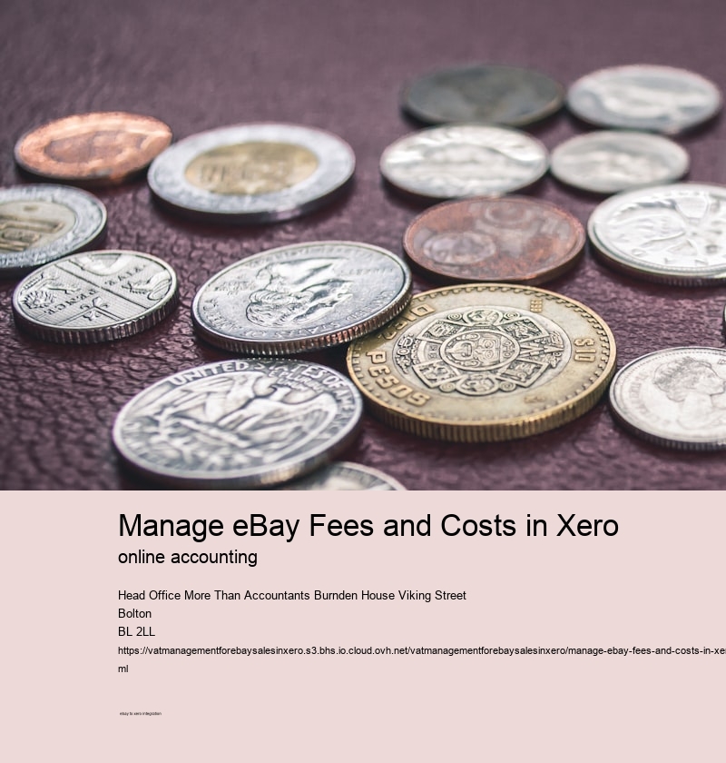 Manage eBay Fees and Costs in Xero