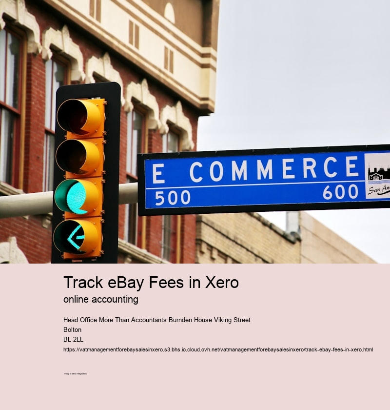 Track eBay Fees in Xero